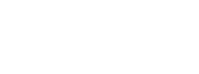 THE DEAL