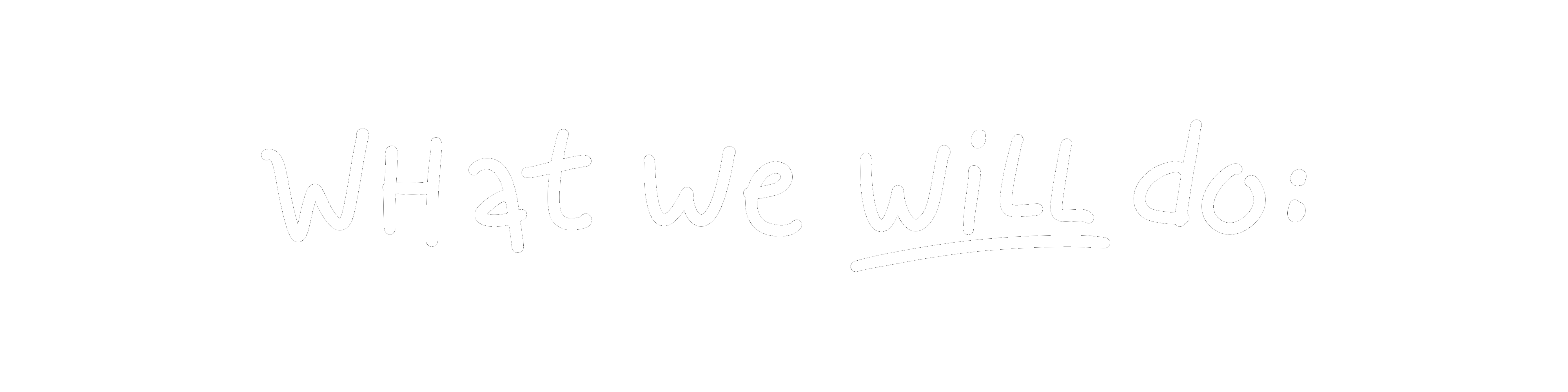 What we will do: